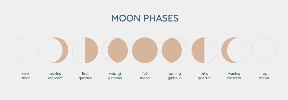 moon phases